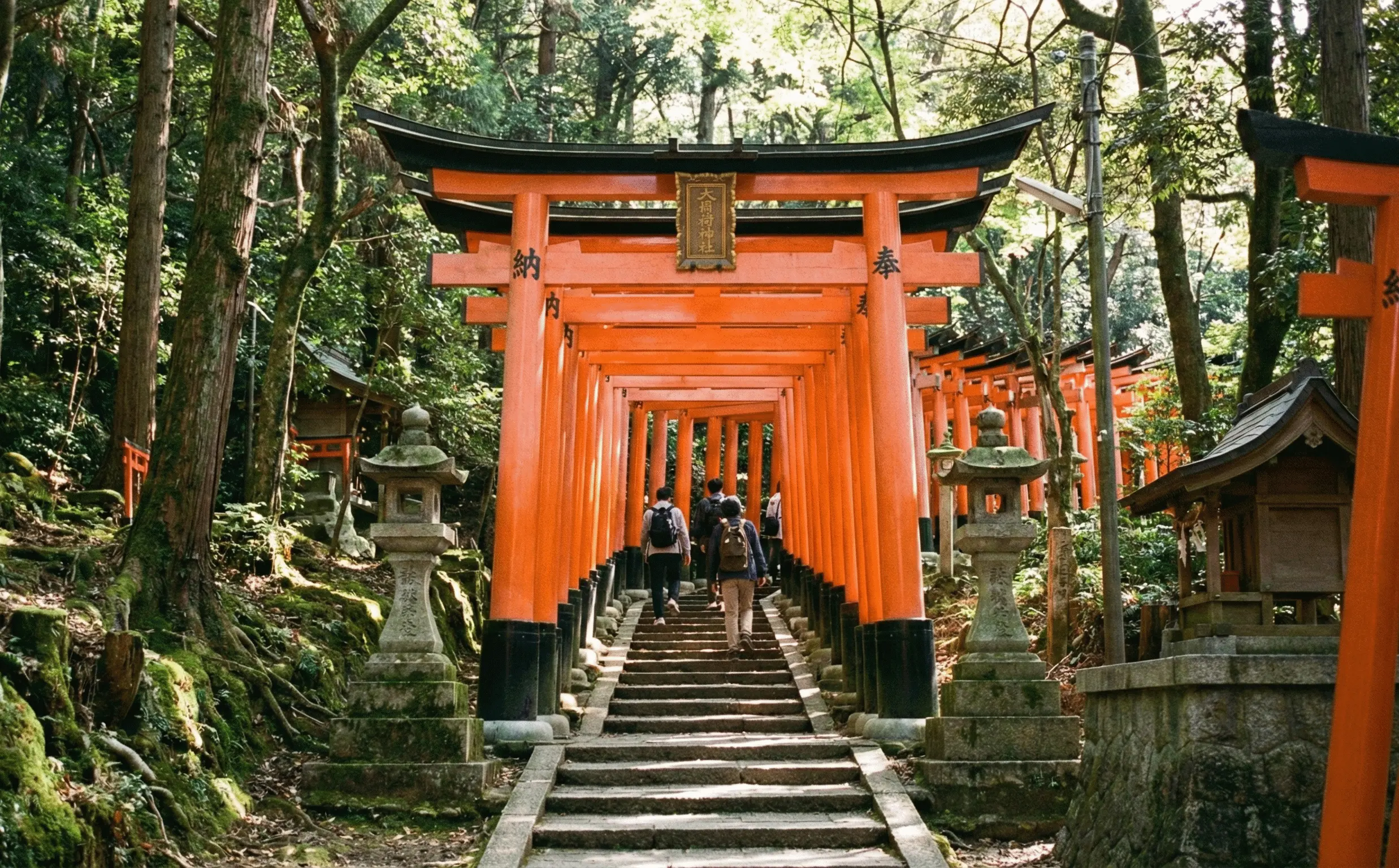 Iconic orange torii gates hiking trail at Fushimi Inari Shrine in Kyoto Japan at sunset