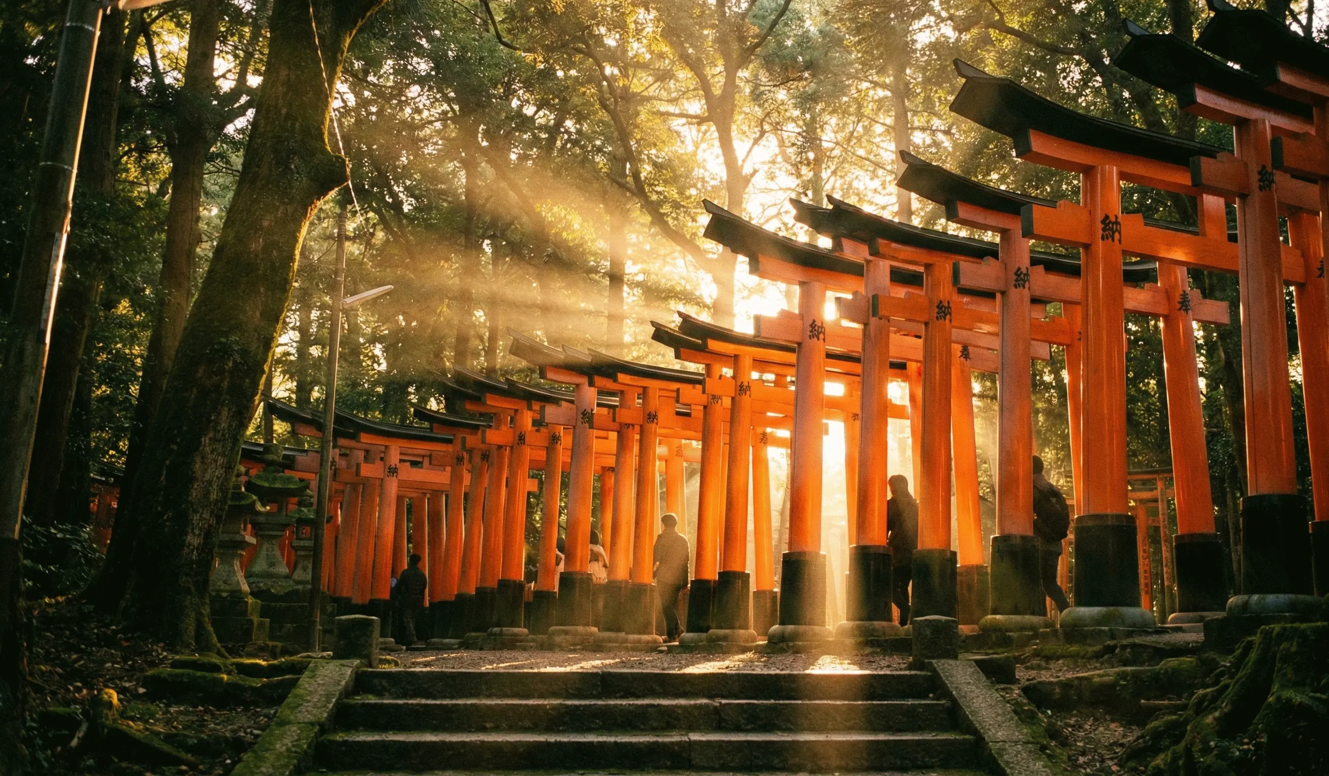 Magical golden hour light filtering through the orange torii gates at sunset in Kyoto